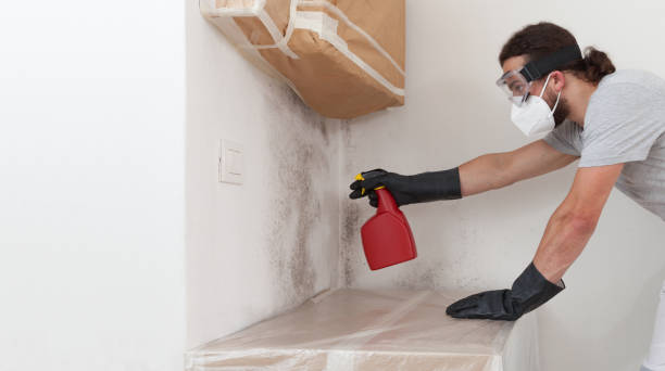 Professional Attic Mold Remediation technician working in Madera, PA